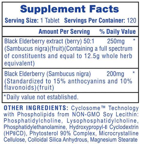 Hi - Tech | Black Elderberry