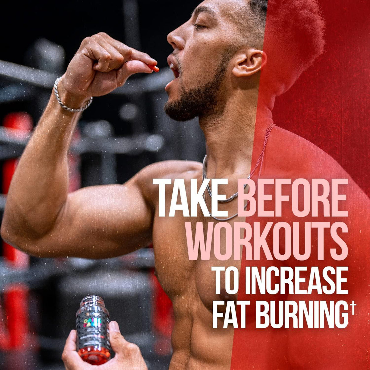 Alpha Lion Gains Candy Mitoburn