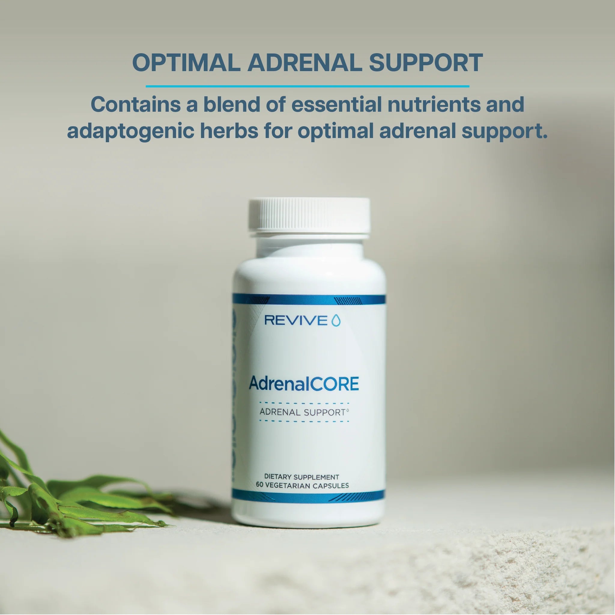 Revive MD | AdrenalCore | Adrenal Support