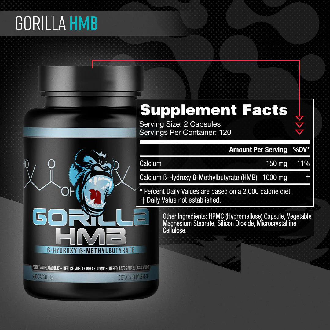 Gorilla Mind | Gorilla HMB