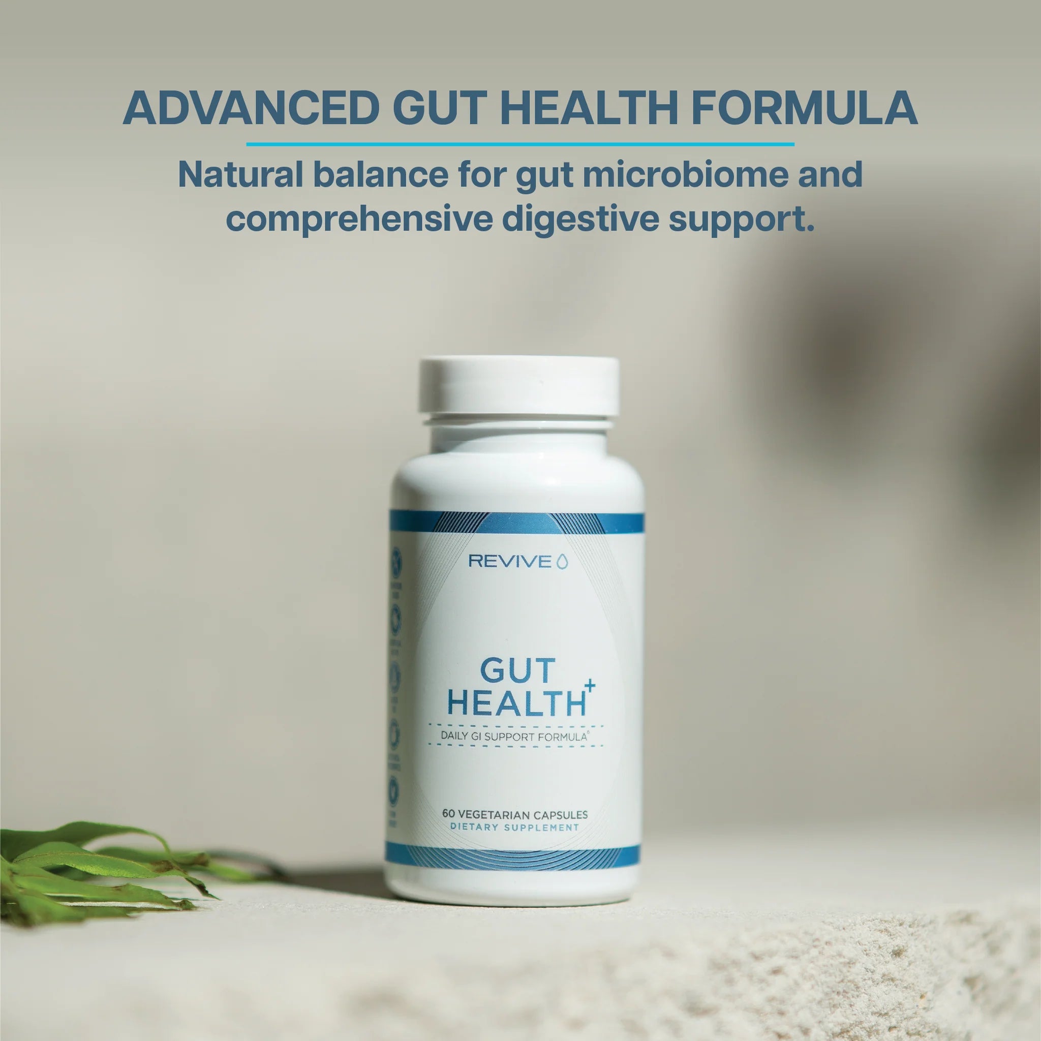 Revive MD | Gut Health